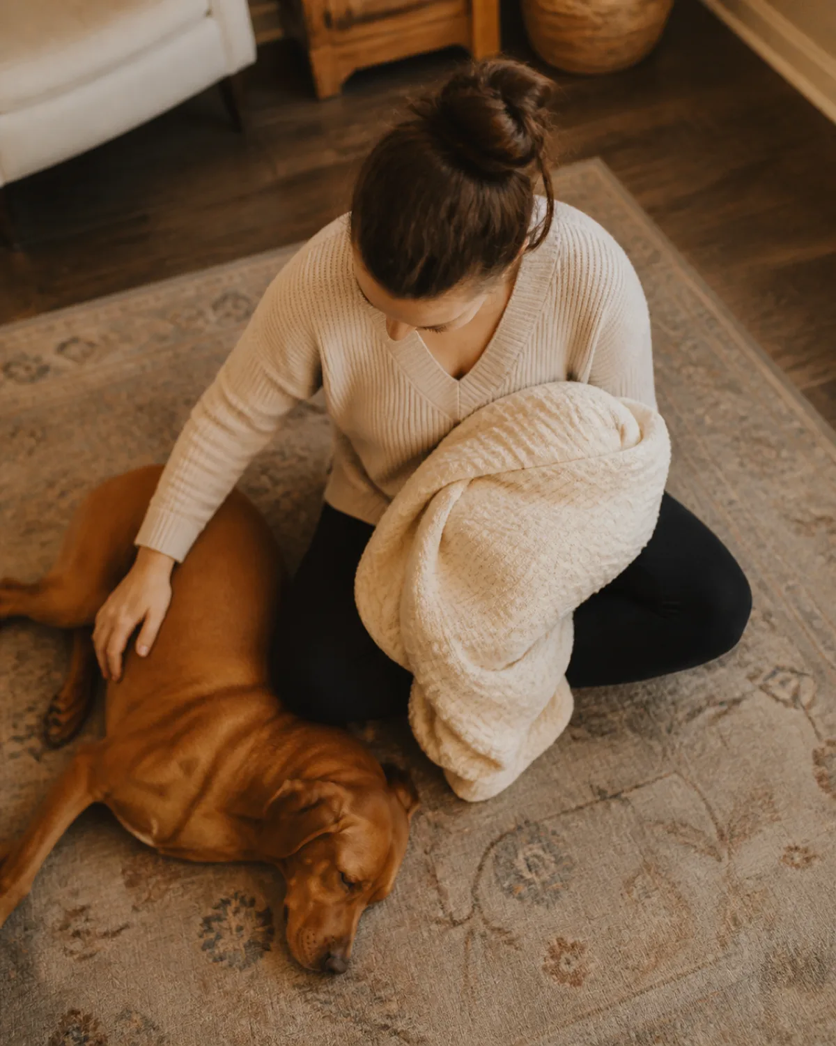 overhead view of a person sitting cross-legged on a living room rug with one hand resting gently on a cream blanket bundle beside them and the other hand softly petting a medium-large sleek dog with a uniform rusty golden-brown short coat and floppy ears lying beside them in warm window light