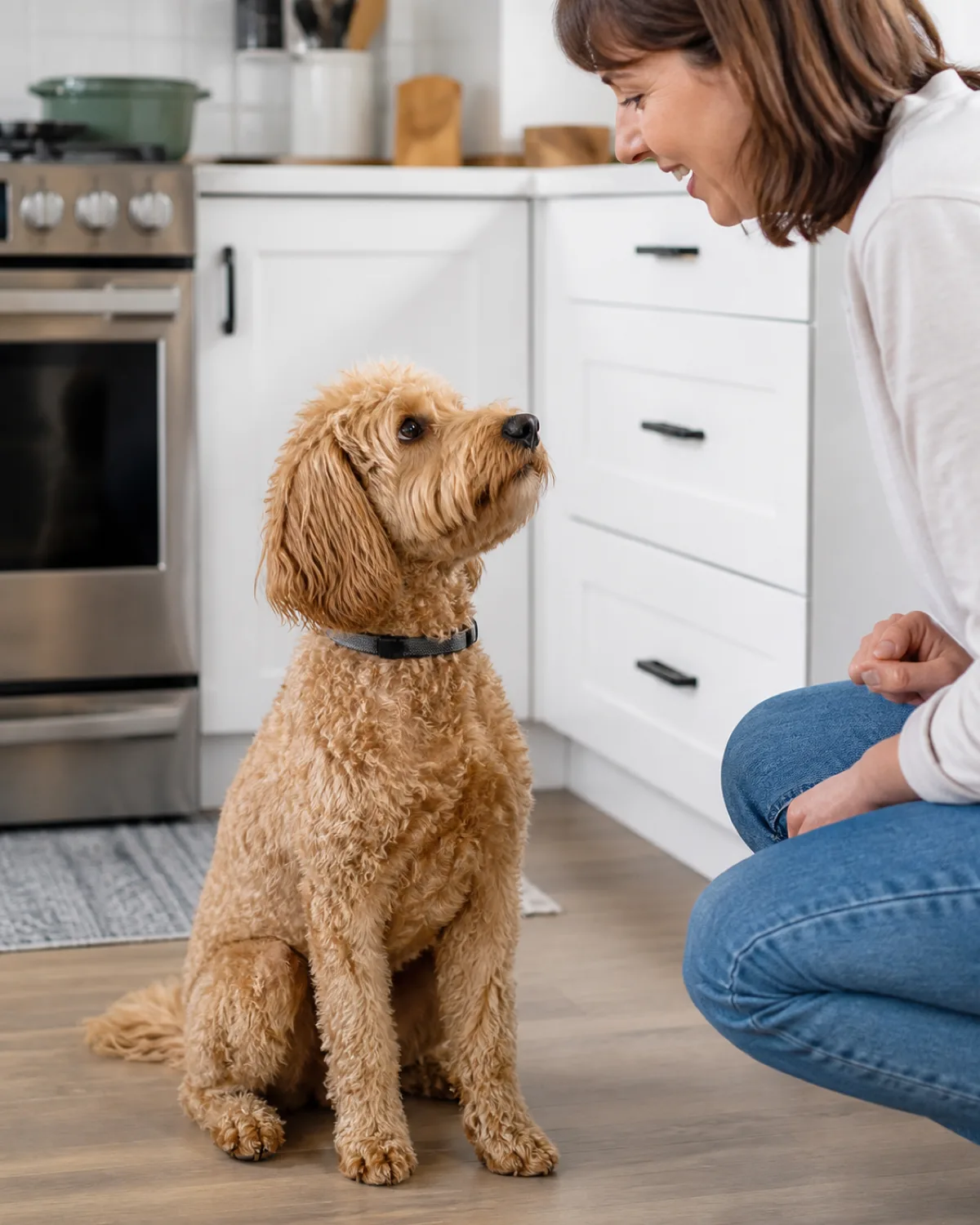 a medium dog with a soft shaggy wavy-to-curly apricot coat floppy ears and a rounded teddy-bear face sitting on a kitchen floor looking up alertly at a person whose mouth is slightly open as if saying a word the dogs ears perked forward listening bright overhead kitchen light